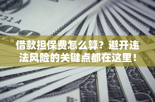 济南借款担保费怎么算？避开违法风险的关键点都在这里！