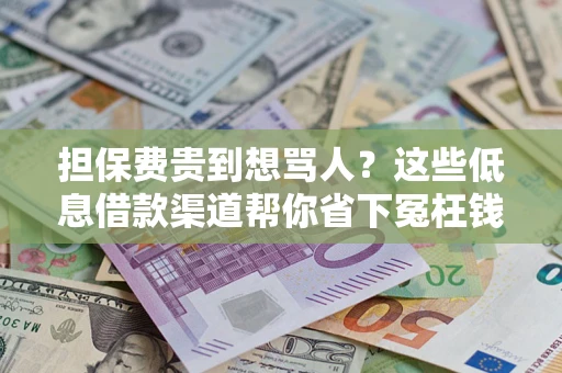 济南担保费贵到想骂人？这些低息借款渠道帮你省下冤枉钱
