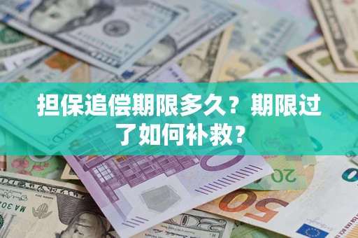 济南担保追偿期限多久？期限过了如何补救？