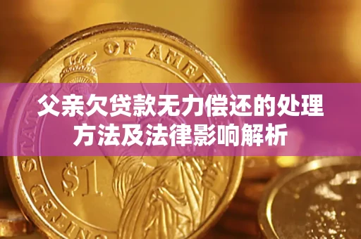 济南父亲欠贷款无力偿还的处理方法及法律影响解析